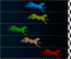  Cheetah Race